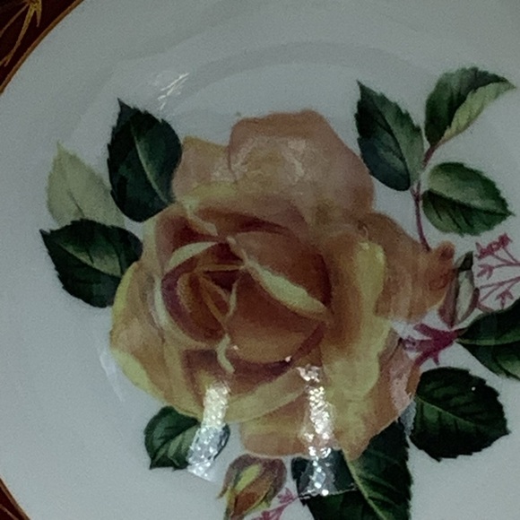 Vintage Court Royal Red/Gold English Bone China Cabbage Rose Teacup & Saucer - Picture 9 of 13